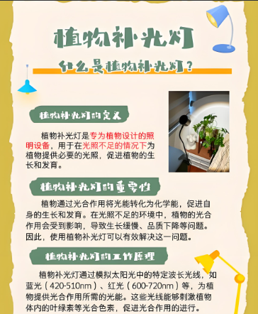 妞嶇墿鐏鐨勪綔鐢?png